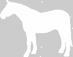 cesky_teplokrevnik_gif%20%28150x117%29.gif